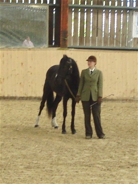 Beauty youngstock class