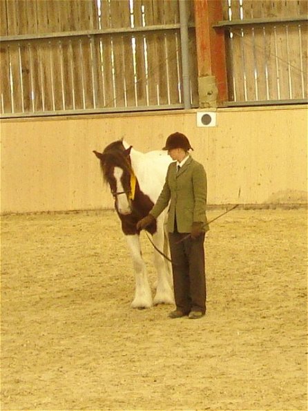 Coloured class rosette 2