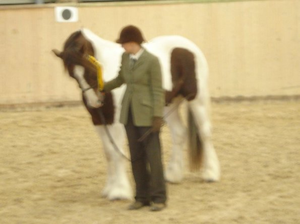 Coloured class rosette