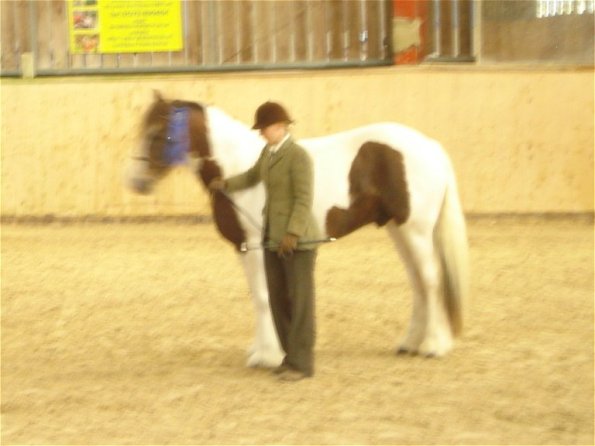 Condition and turnout rosette 2