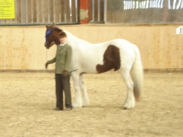 Condition and turnout rosette