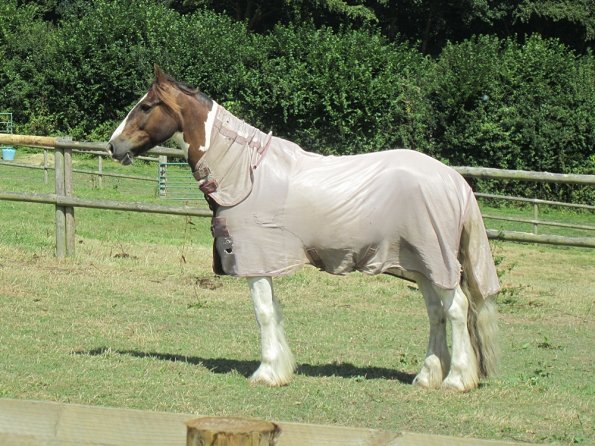 Upl LAnce looking for JD (2)