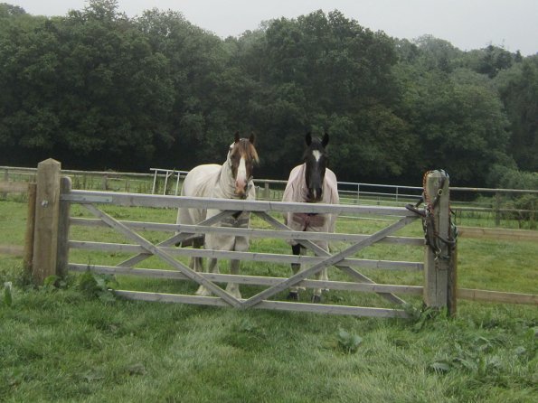 Upl Lance and JD beautiful boys (2)