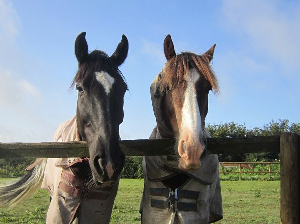 Upl Lance and JD beautiful boys (6)