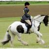 Upl Dressage canter (2)