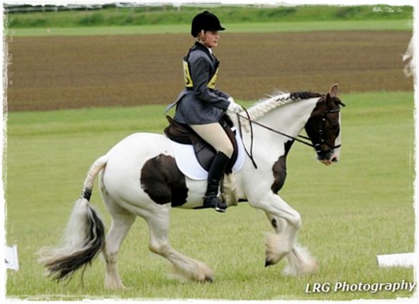 Upl Dressage canter (2)