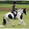 Upl Dressage canter