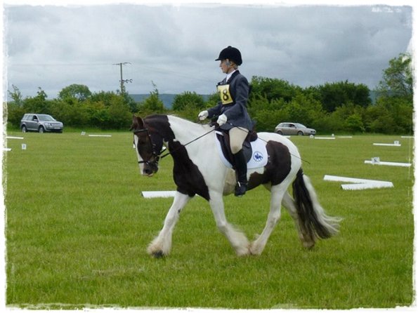 Upl Dressage trot (2)