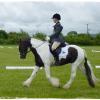 Upl Dressage trot (3)