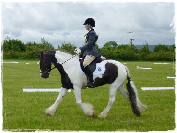 Upl Dressage trot (3)