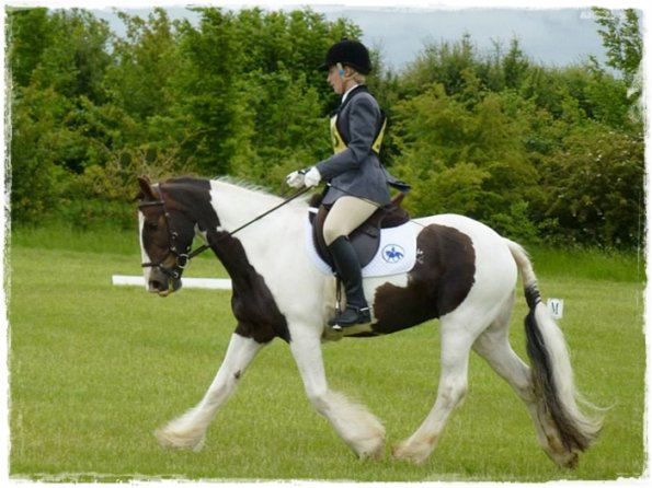 Upl Dressage trot (4)