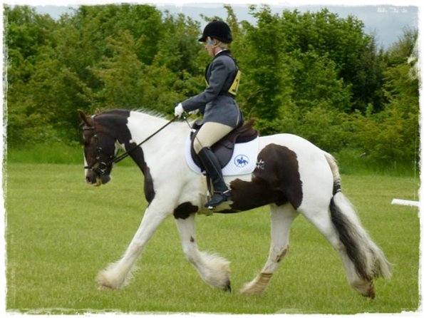 Upl Dressage trot