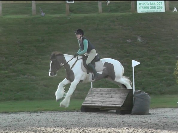 Anna and Lance 75cm pallisade (1)