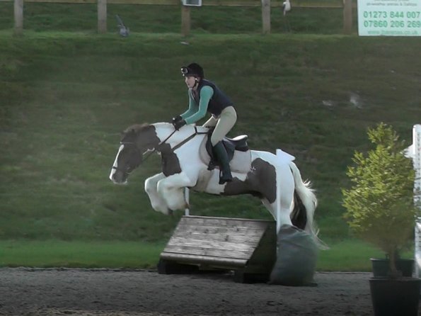 Anna and Lance 75cm pallisade (3)