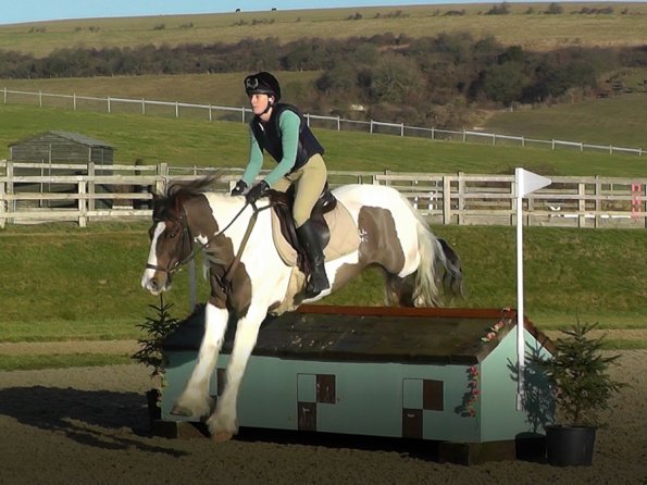 Anna and Lance 90cm house (4)