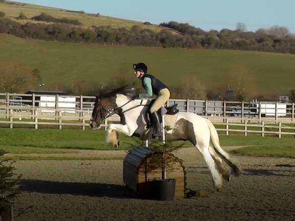 Anna and Lance 90cm rolltop (2)