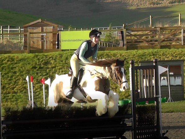 Anna and Lance brush fence (1)