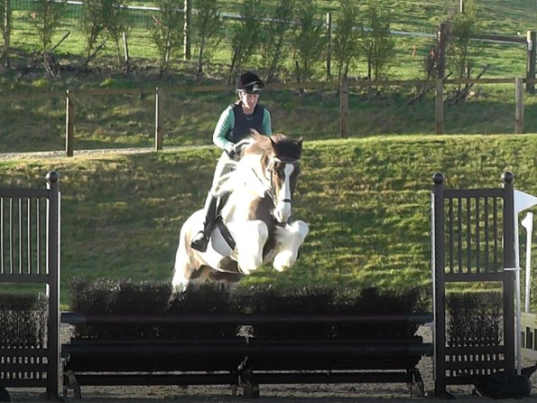 Anna and Lance brush fence (2)