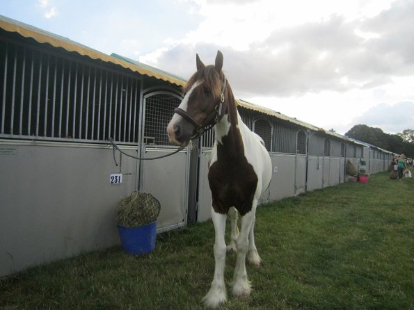 BRC Champs 2015 (111)