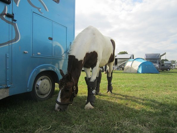 BRC Champs 2015 (112)