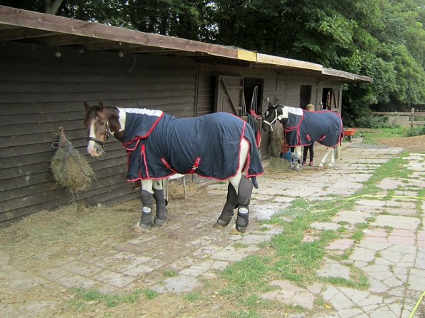 BRC Champs 2015 (27)