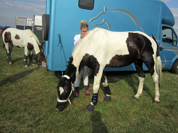 BRC Champs 2015 (29)