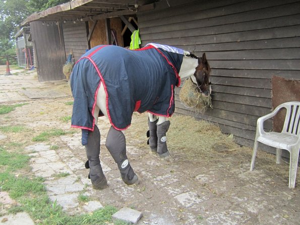 BRC Champs 2015 (34)