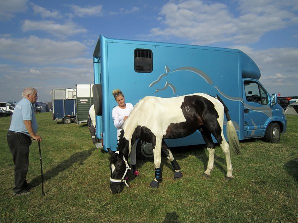 BRC Champs 2015 (45)