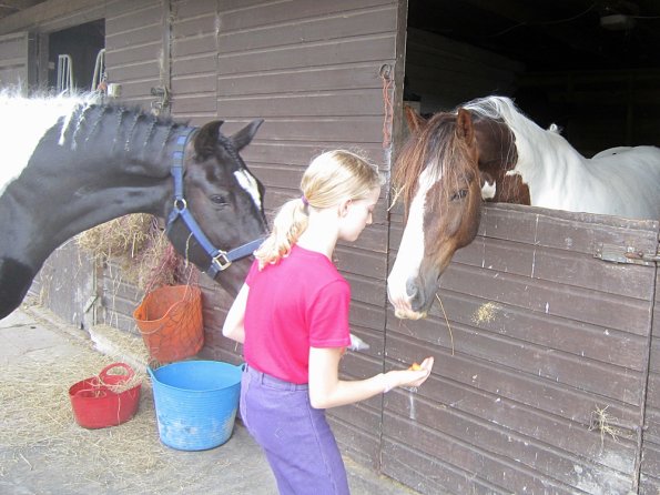 BRC Champs 2015 (56)