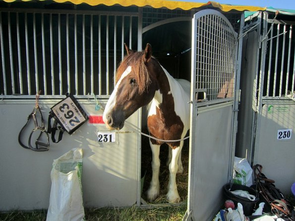 BRC Champs 2015 (57)