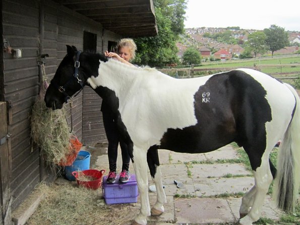 BRC Champs 2015 (63)