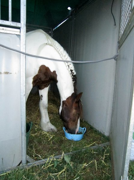 BRC Champs 2015 (66)