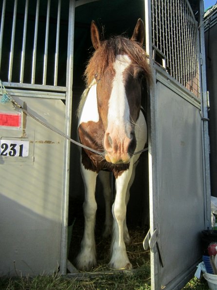 BRC Champs 2015 (68)