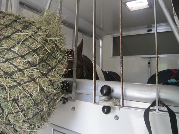 BRC Champs 2015 (70)