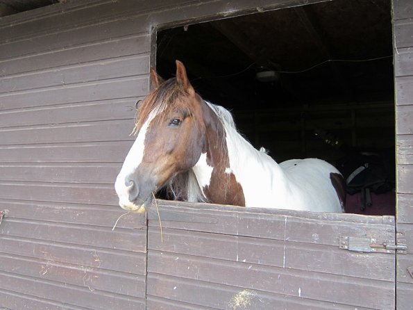 BRC Champs 2015 (79)