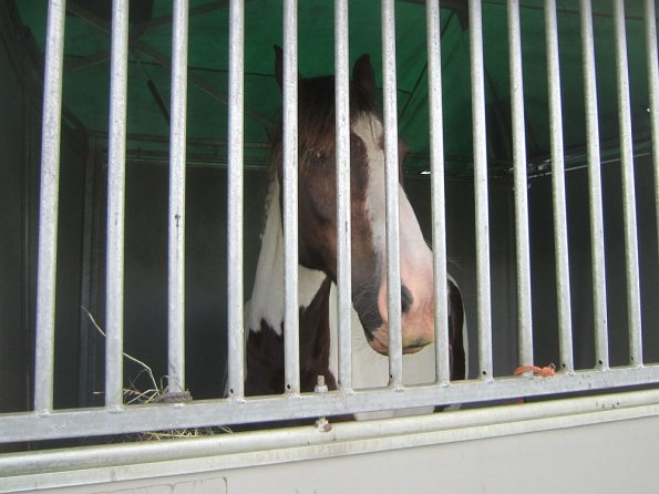 BRC Champs 2015 (80)