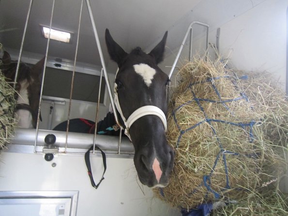 BRC Champs 2015 (82)