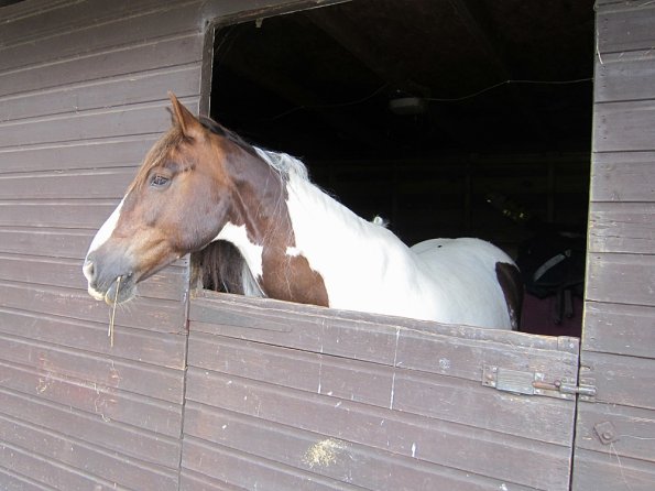 BRC Champs 2015 (85)