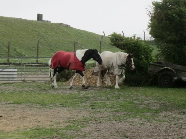 BRC Champs 2015 (86)