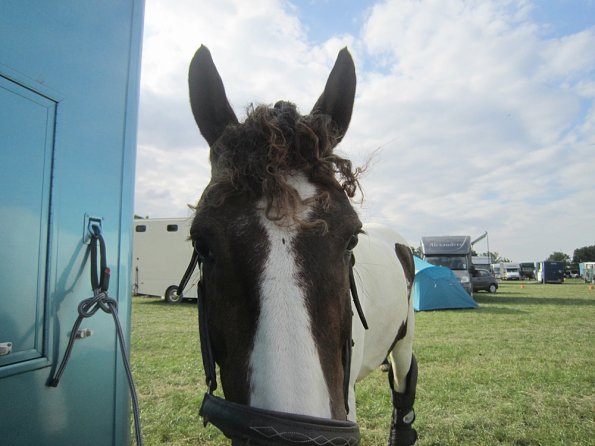 BRC Champs 2015 (88)