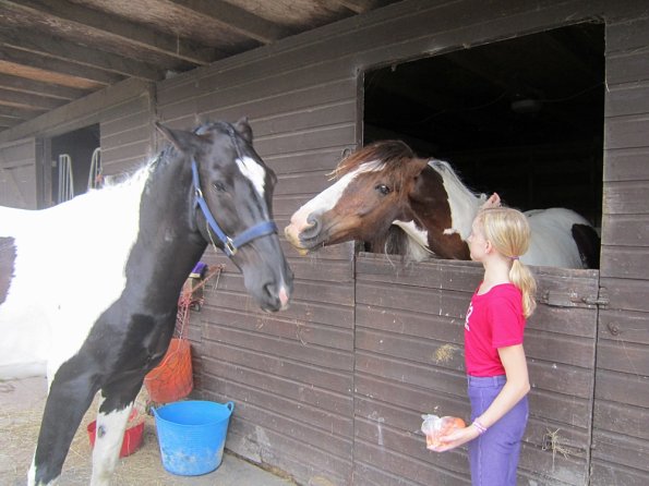 BRC Champs 2015 (89)