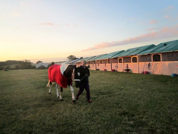 BRC Champs 2015 (97)