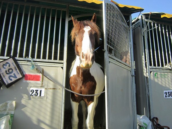 a Getting ready (10)