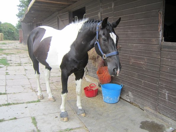 a Getting ready (12)