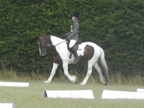 c Lance Dressage (1)