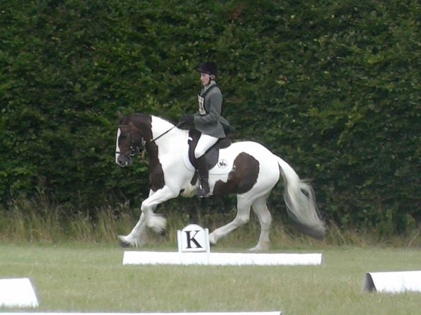 c Lance Dressage (2)