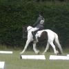 c Lance Dressage (3)