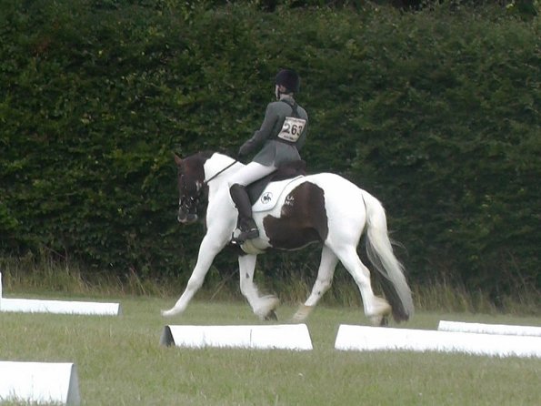 c Lance Dressage (3)