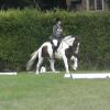 c Lance Dressage (5)