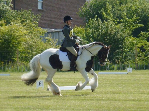 11270428_929302660469275_5364401148620170739_o